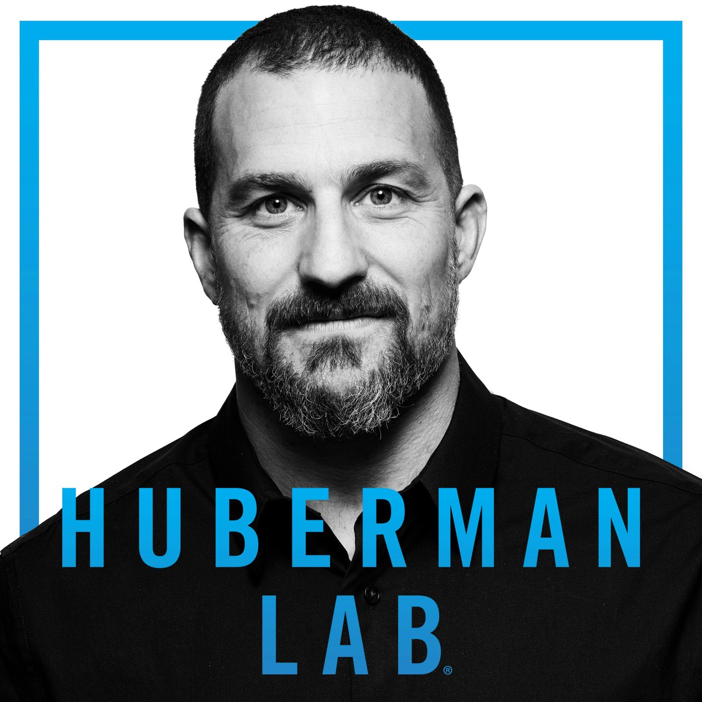 Huberman Lab — hear a sample recap