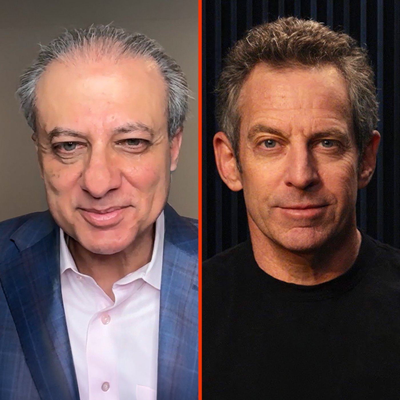 Making Sense with Sam Harris — hear a sample recap