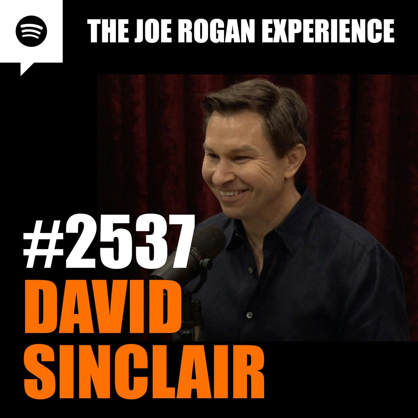 The Joe Rogan Experience cover art